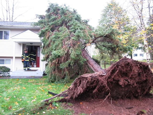 As we all lived through the Perfect Storm Sandy the Nanuet Fire Department answered the calls for help. Over 80 calls in  24 hours. Here are a few from Monday evening. Photo By Vincent P. Tuzzolino . 10-29-2012